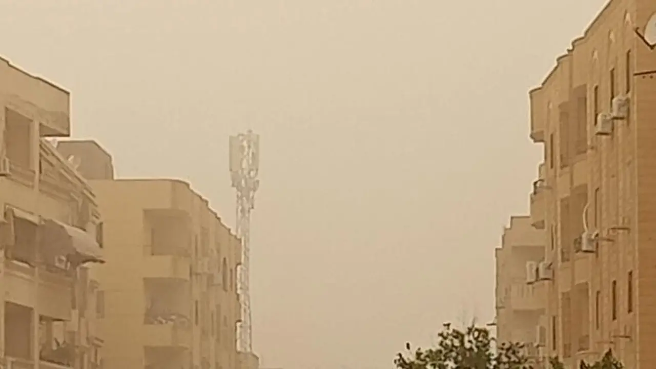 عواصف ترابية بالإسكندرية.. تحذيرات عاجلة من الأرصاد الجوية لسلامة المواطنين عند الخروج